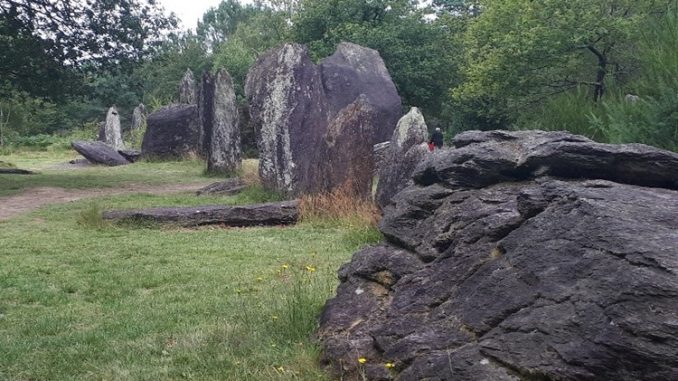 KELTIA IN BROCELIANDE